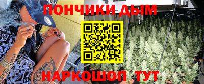 молекула духа Пугачёв