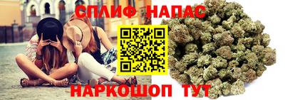 молекула духа Пугачёв