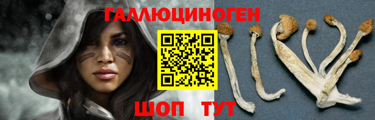 Омск  Галлюциногенные грибы Psilocybe  Галлюциногенные грибы Cubensis  Вход с VPN 